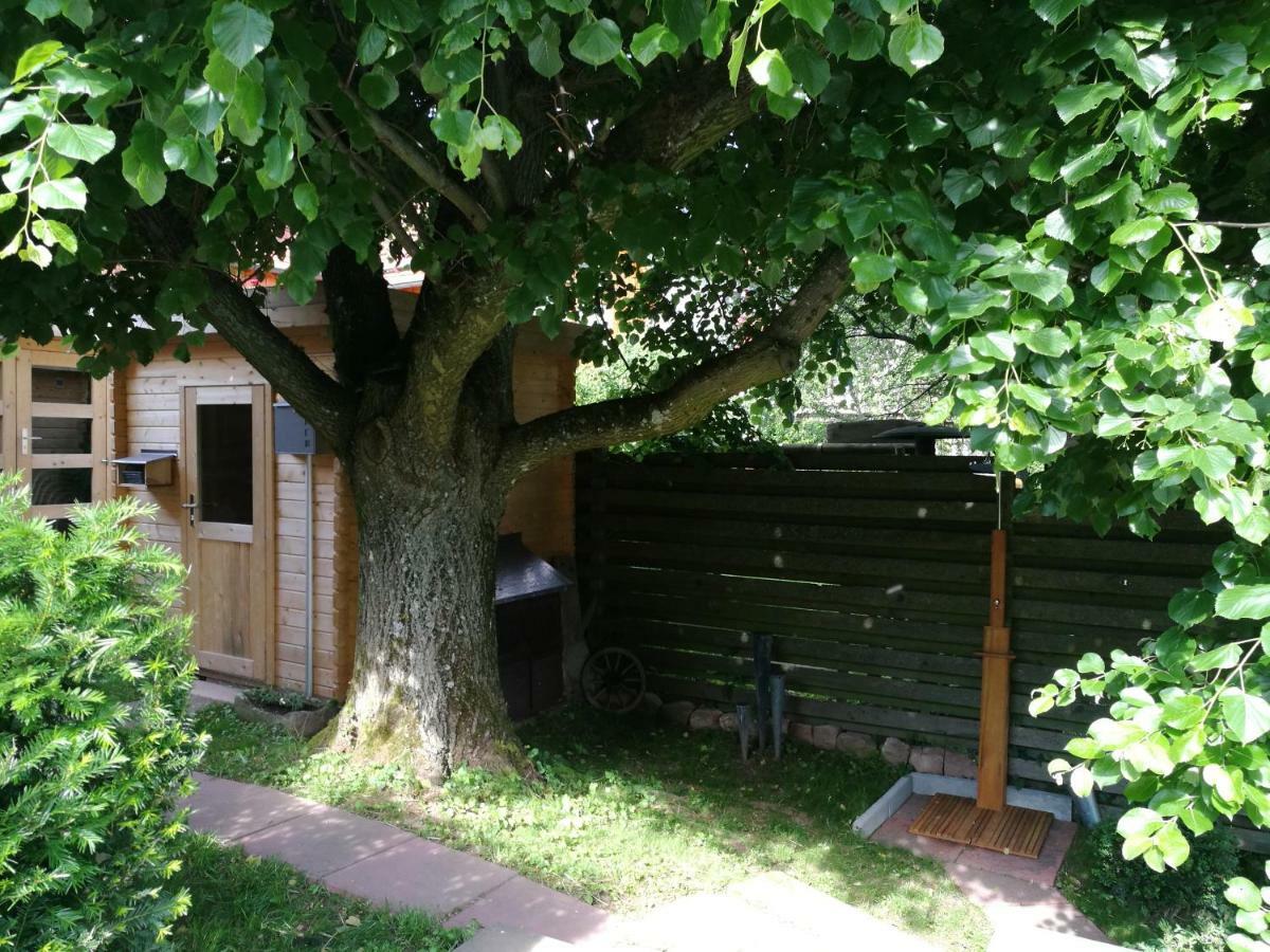 Ferienhaus Glucksmoment Grasellenbach Dış mekan fotoğraf