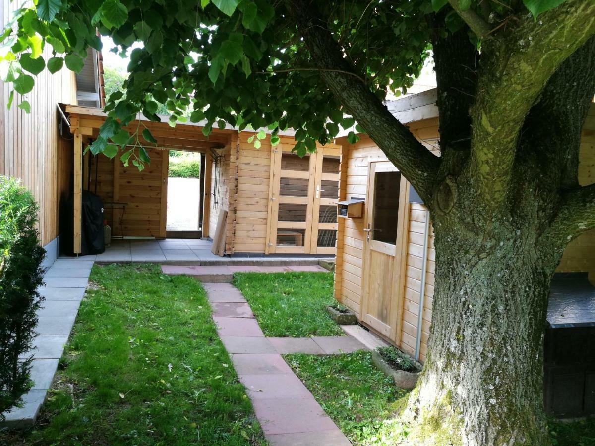 Ferienhaus Glucksmoment Grasellenbach Dış mekan fotoğraf