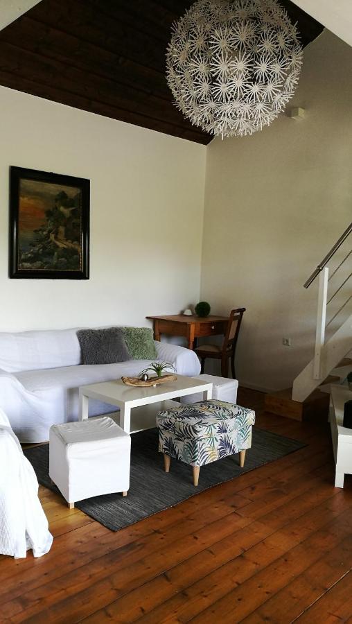 Ferienhaus Glucksmoment Grasellenbach Dış mekan fotoğraf